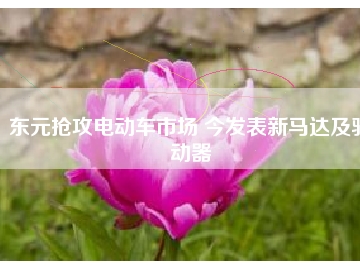 東元搶攻電動(dòng)車(chē)市場(chǎng) 今發(fā)表新馬達(dá)及驅(qū)動(dòng)器