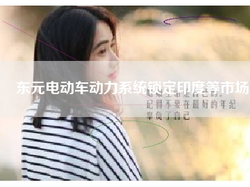 東元電動(dòng)車(chē)動(dòng)力系統(tǒng)鎖定印度等市場(chǎng)