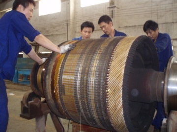 振動(dòng)電機(jī)振動(dòng)過(guò)大是由哪些原因?qū)е?，如何處?></div>
                            <div   id=