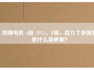 防爆電機(jī) 4極, IP55，F(xiàn)級(jí)，這幾個(gè)參數(shù)都是什么意思呢？