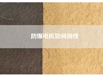 防爆電機(jī)如何接線