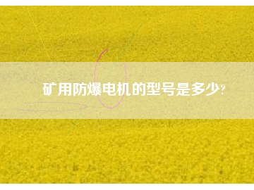 礦用防爆電機(jī)的型號(hào)是多少?