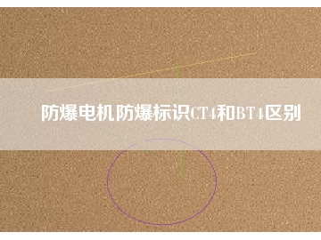 防爆電機(jī)防爆標(biāo)識(shí)CT4和BT4區(qū)別