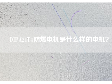 DIPA21T4防爆電機(jī)是什么樣的電機(jī)？