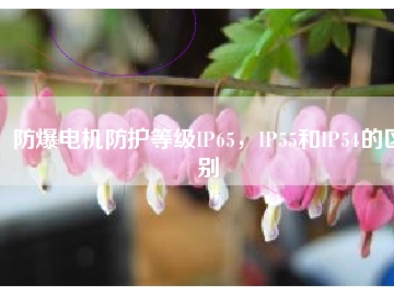 防爆電機防護等級IP65，IP55和IP54的區(qū)別