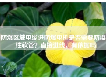 防爆區(qū)域電纜進防爆電機是否需要防爆撓性軟管？直接進線，有依據(jù)嗎