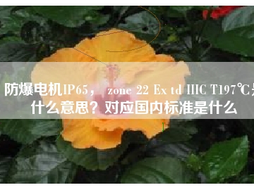 防爆電機(jī)IP65， zone 22 Ex td IIIC T197℃是什么意思？對(duì)應(yīng)國(guó)內(nèi)標(biāo)準(zhǔn)是什么