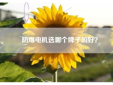 防爆電機(jī)選哪個(gè)牌子的好？