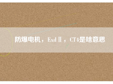 防爆電機，ExdⅡ，CT4是啥意思