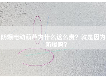 防爆電動(dòng)葫蘆為什么這么貴？就是因?yàn)槟芊辣瑔幔?></div>
                            <div   id=