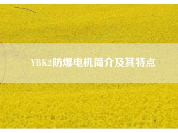 YBK2防爆電機(jī)簡(jiǎn)介及其特點(diǎn)