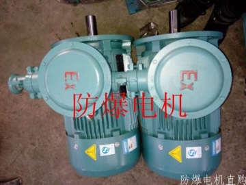 防爆電機(jī)分類：防爆電機(jī)選型、參數(shù)、定義