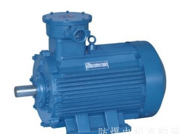 中型異步防爆電機(jī)產(chǎn)品后續(xù)如何發(fā)展的建議