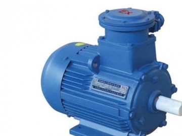 目前變頻低壓電機(jī)還存在哪些問題？