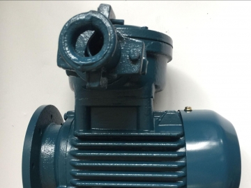 怎么選對(duì)粉塵防爆電機(jī)？