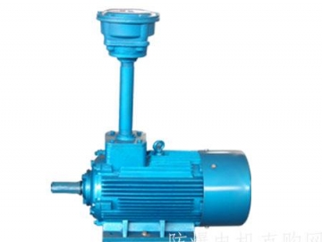 石油化工行業(yè)為什么一定要使用防爆電機(jī)