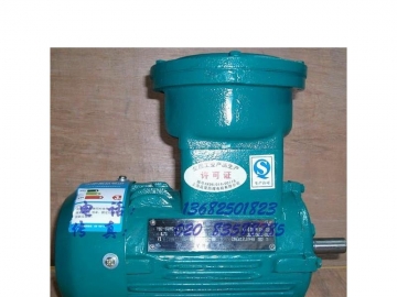 防爆電機的分類