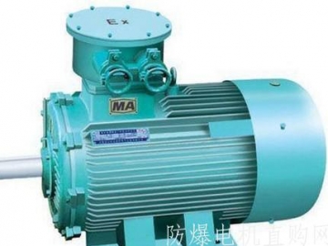 正壓型防爆電機的防爆原理與型式