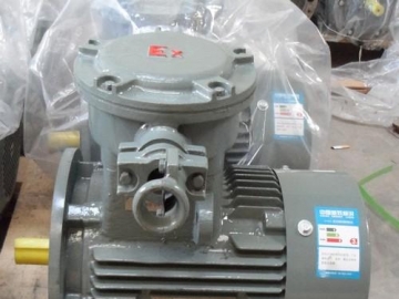 如何檢查防爆電機的滑動軸承是否正常