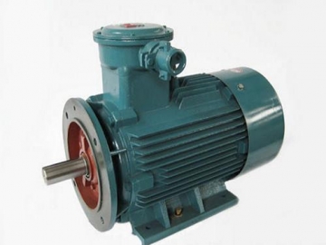 防爆電機(jī)驗(yàn)收時(shí)除了銘牌外，還要注意哪些？