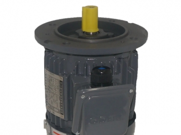 TEF3系列AEMV3N高效三相異步電機(jī)