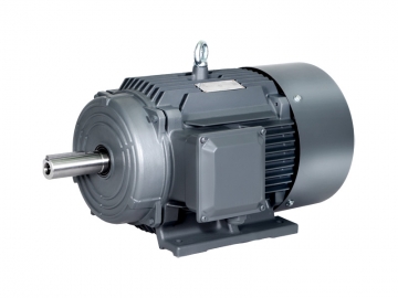 1TL0004鑄鐵系列二級能效低壓三相異步電動機(jī)