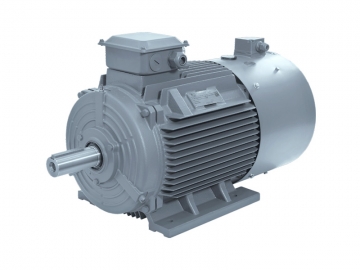 YVF2 變頻調(diào)速專用三相異步電動機(jī)