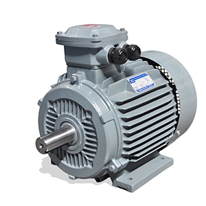 YFB3系列高效率粉塵防爆三相異步電動(dòng)