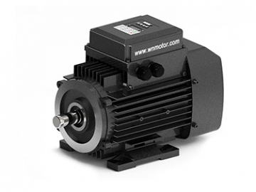 YZNP2系列智能控制三相異步電動機