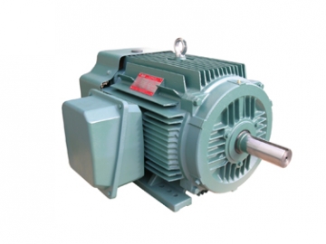 NEP系列超高效率三相異步電動(dòng)機(jī)