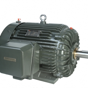 NEMA系列無(wú)火花三相異步電動(dòng)機(jī)