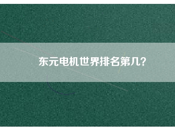 東元電機(jī)世界排名第幾？