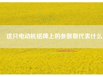 這只電動機(jī)銘牌上的參數(shù)都代表什么