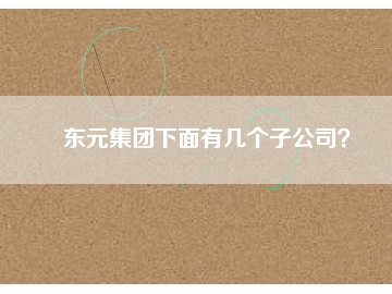 東元集團(tuán)下面有幾個(gè)子公司？