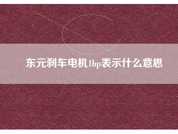 東元?jiǎng)x車(chē)電機(jī)1hp表示什么意思