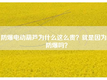 防爆電動(dòng)葫蘆為什么這么貴？就是因?yàn)槟芊辣瑔幔?></div>
                            <div   id=