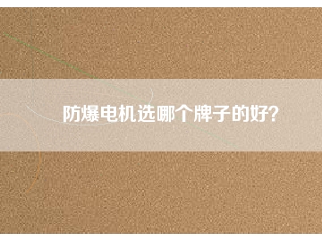 防爆電機(jī)選哪個(gè)牌子的好？