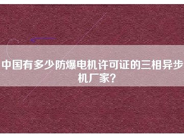 中國(guó)有多少防爆電機(jī)許可證的三相異步電機(jī)廠(chǎng)家？