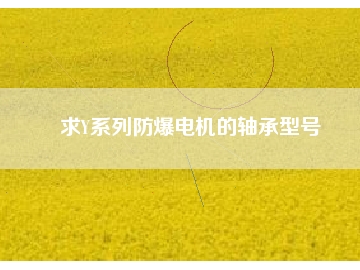 求Y系列防爆電機(jī)的軸承型號