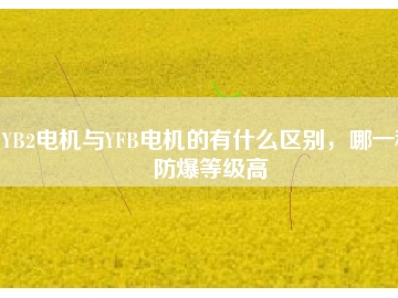YB2電機(jī)與YFB電機(jī)的有什么區(qū)別，哪一種防爆等級高