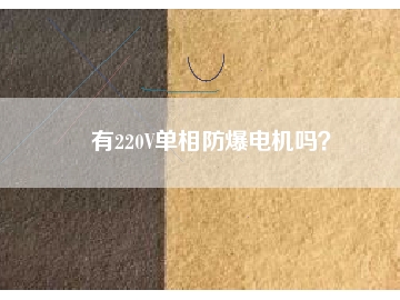 有220V單相防爆電機(jī)嗎？