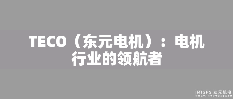 TECO（東元電機）：電機行業(yè)的領(lǐng)航者