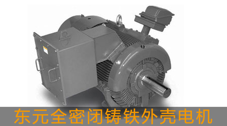 東元全密閉鑄鐵外殼電機.jpg