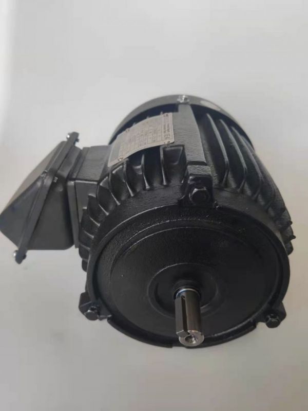 永磁電機 DVEX  75KW  1500RPM  F#250M IE4效率電機