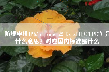 防爆電機(jī)IP65， zone 22 Ex td IIIC T197℃是什么意思？對(duì)應(yīng)國(guó)內(nèi)標(biāo)準(zhǔn)是什么