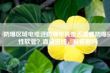 防爆區(qū)域電纜進(jìn)防爆電機(jī)是否需要防爆撓性軟管？直接進(jìn)線，有依據(jù)嗎