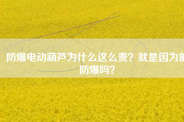 防爆電動(dòng)葫蘆為什么這么貴？就是因?yàn)槟芊辣瑔幔? title=