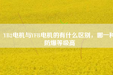 YB2電機(jī)與YFB電機(jī)的有什么區(qū)別，哪一種防爆等級高