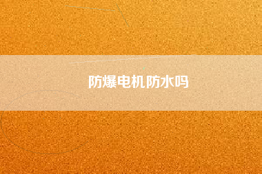 防爆電機(jī)防水嗎