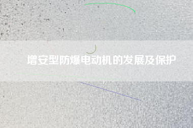 增安型防爆電動機(jī)的發(fā)展及保護(hù)